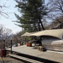 동산길 | 양평 애견동반 캠핑장 약수동산 캠핑장 남한강뷰 힐링 캠핑 후기