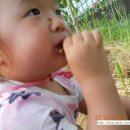 이철희농장 이미지