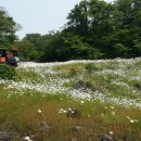 에코랜드
