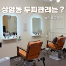 상암동염색방 두랩스 마포상암점 더채움헤어 두피관리 후기