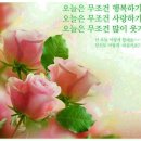 정까페 Daum카페