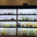 샤오환슝 이미지