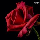 해오름요양원 | 덕양구 쾌적한 요양원 해오름파견센터 편안한 돌봄의 공간