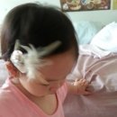 지완유통