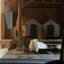 바르스테이 이미지