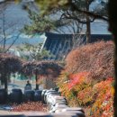 뒤웅박고을 이미지