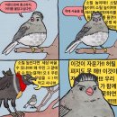 햇사레고고장구 | 7월 취준&amp;취뽀 일상
