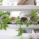 놀숲농원 이미지