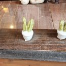 지티행정사사무소 이미지