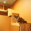 유니포리 이미지