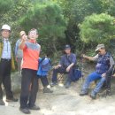 우면산3-25 이미지