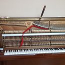 SC은행부산점 이미지