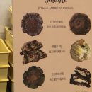 2022 부산카페쇼에서 커피 마시고 맛있는 디저트와 함께 좋은 시간 보냈어요