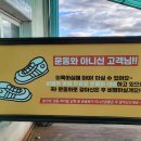 단양패러마을패러글라이딩 이미지