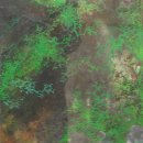 한려대학교 이미지