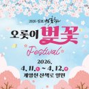 벚꽃 - 부평구 마장로324번길 78 | 벚꽃