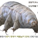 전대번역행정