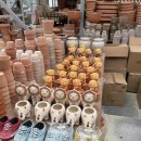 용인 남사 화훼단지 추천 식쇼 예삐플라워아울렛 화분 가격