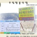 우림양봉산업 이미지