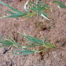 다은농장 이미지