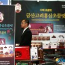 금산웰빙홍삼