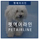 에어라인 이미지