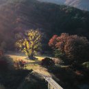 (주)은행나무 이미지