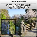 순천-27호 | 제주 천지연폭포 서귀포 가볼만한곳, 이용 꿀팁 총정리!