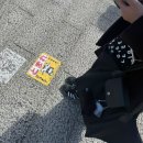 서미가 | 대마도 이즈하라 뚜벅이 당일치기 여행후기