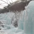 1월 19일 일요일 비슬산 눈꽃산행 (블야100) 산행안내 -신청하기 이미지