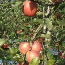 최정현농장 이미지