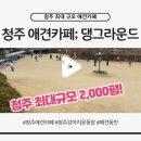 댕그라운드 | 청주 애견카페 추천 댕그라운드 상세 후기ㅣ2000평 수영장/단골 쿠폰 있는 소형견 천국 ~10kg