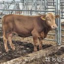 형민농장2 이미지