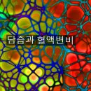 담즙과 혈액변비 <9월24일 > 이미지