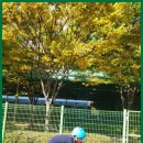 이나나인라인클럽 | 오산인라인강습 인라인 이나나와 함께하는 멋진 여름