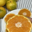 용보관 | 제주 감귤 택배 후기 노지감귤 5kg 귤 보관법 냉장보관