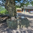 만어사 | 밀양 삼랑진 가볼만한 곳 만어사 방문후기 만어사 소원돌