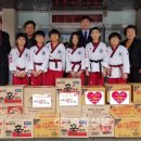 세계로 태권도 이미지