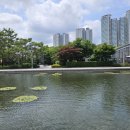 이레법무사사무소 - 천안시 동남구 청수5로 9 | 이레법무사사무소