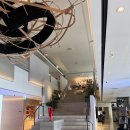 안다즈 서울 강남 디럭스 트윈룸 투숙후기 (하얏트 포인트)