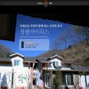 청평아이리스 이미지