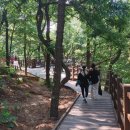 이촌근린공원 이미지