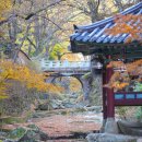 공주-02 이미지