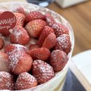 11545-04-06-45 | 성심당 딸기시루 막내, 딸기설기 가격 차이 비교 및 평일 웨이팅 후기