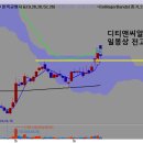 디티코리아 이미지