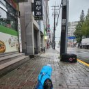 딩굴댕굴 애견호텔 유치원 이미지