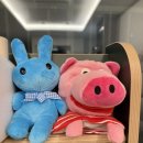 동시랑 그림책으로 놀기 | 아이의 가능성을 키워주는 블루래빗 두뇌발달 첫 놀이감 구매후기