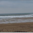 만리포해변 이미지