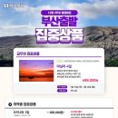 다미투어주