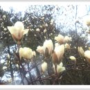 (주)솔마루 이미지